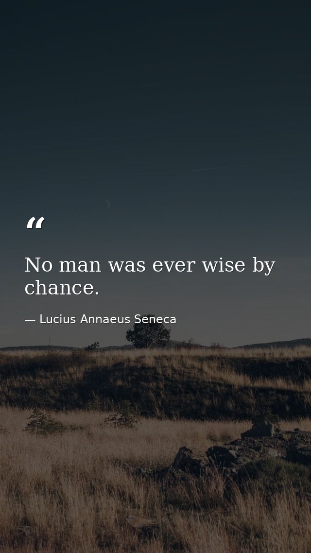 No man was ever wise by chance. — Lucius Annaeus Seneca