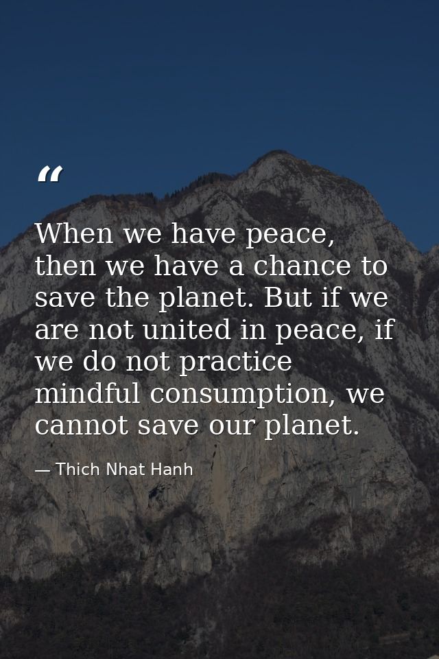 When we have peace, then we have a chance to save the planet. But if we are not united in peace, if we do not practice m — Thich Nhat Hanh
