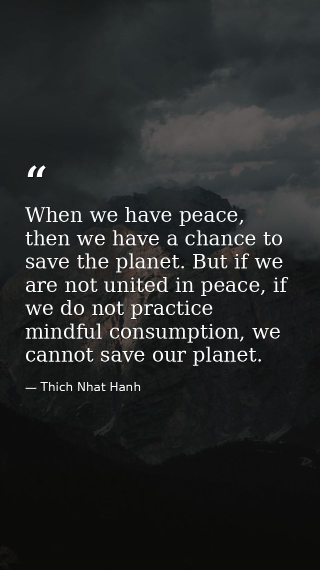 When we have peace, then we have a chance to save the planet. But if we are not united in peace, if we do not practice m — Thich Nhat Hanh