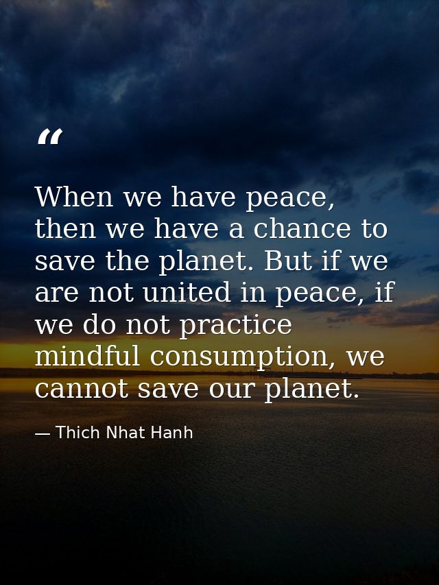 When we have peace, then we have a chance to save the planet. But if we are not united in peace, if we do not practice m — Thich Nhat Hanh