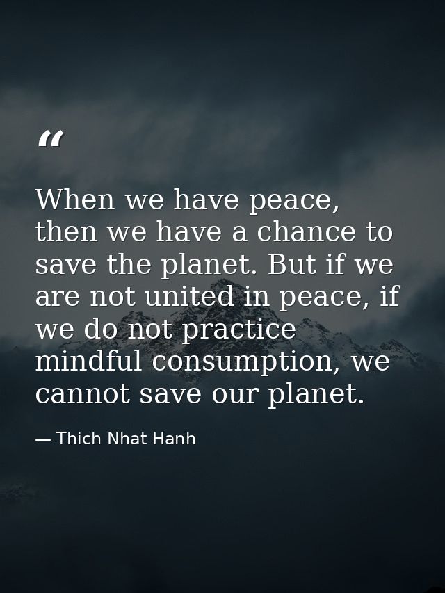 When we have peace, then we have a chance to save the planet. But if we are not united in peace, if we do not practice m — Thich Nhat Hanh