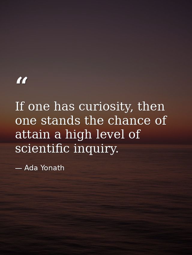 If one has curiosity, then one stands the chance of attain a high level of scientific inquiry. — Ada Yonath