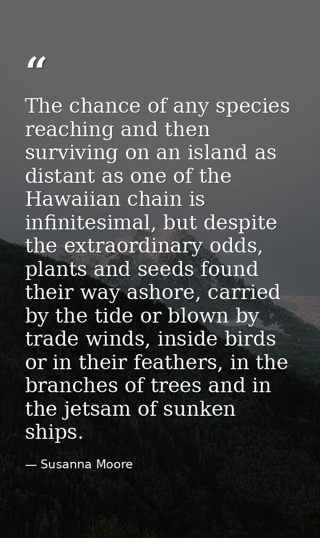 The chance of any species reaching and then surviving on an island as distant as one of the Hawaiian chain is infinitesi — Susanna Moore