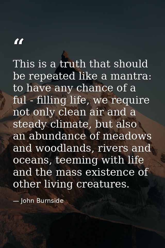This is a truth that should be repeated like a mantra: to have any chance of a ful - filling life, we require not only c — John Burnside