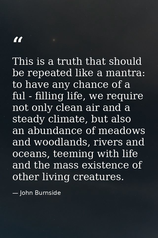 This is a truth that should be repeated like a mantra: to have any chance of a ful - filling life, we require not only c — John Burnside