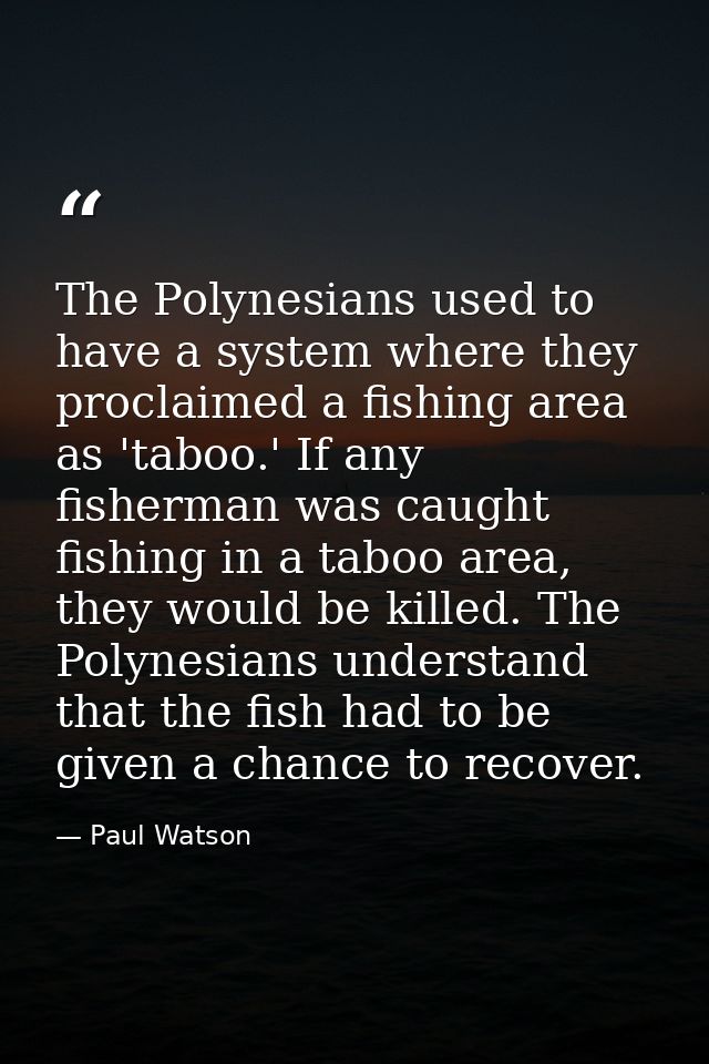 The Polynesians used to have a system where they proclaimed a fishing area as 'taboo.' If any fisherman was caught fishi — Paul Watson