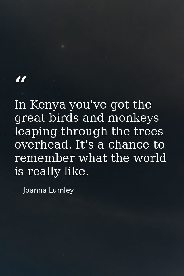 In Kenya you've got the great birds and monkeys leaping through the trees overhead. It's a chance to remember what the w — Joanna Lumley