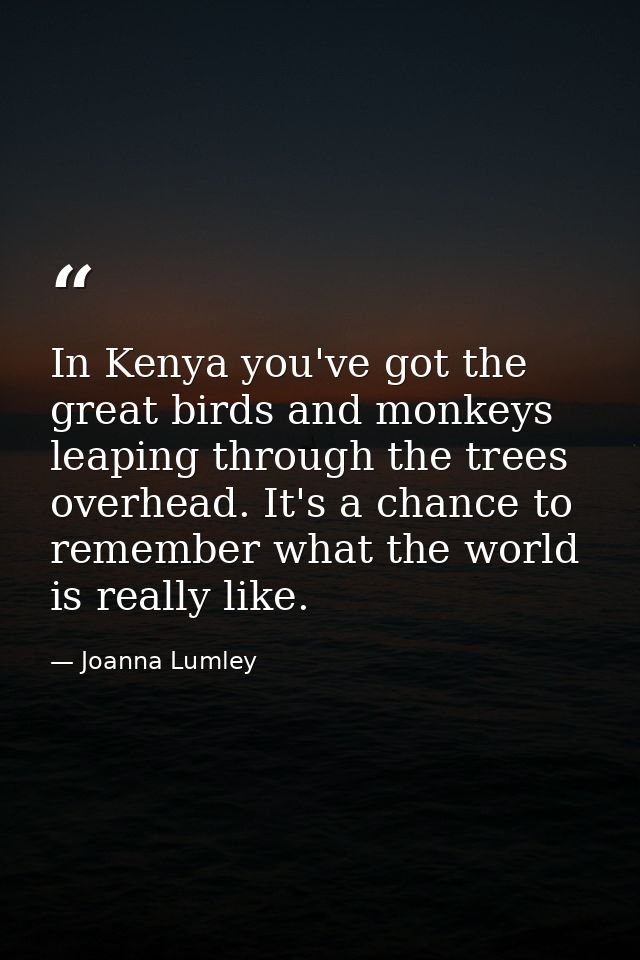 In Kenya you've got the great birds and monkeys leaping through the trees overhead. It's a chance to remember what the w — Joanna Lumley