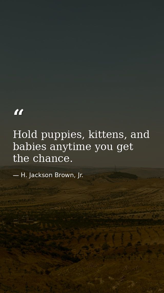 Hold puppies, kittens, and babies anytime you get the chance. — H. Jackson Brown, Jr.