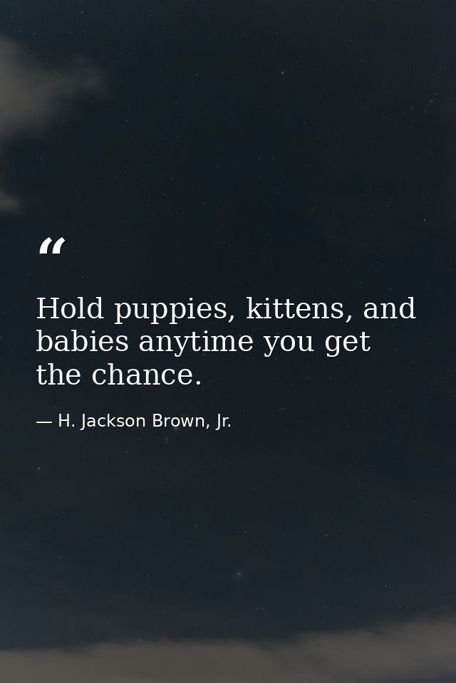 Hold puppies, kittens, and babies anytime you get the chance. — H. Jackson Brown, Jr.