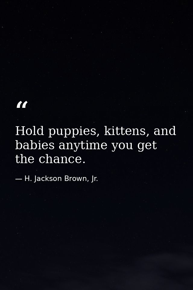 Hold puppies, kittens, and babies anytime you get the chance. — H. Jackson Brown, Jr.