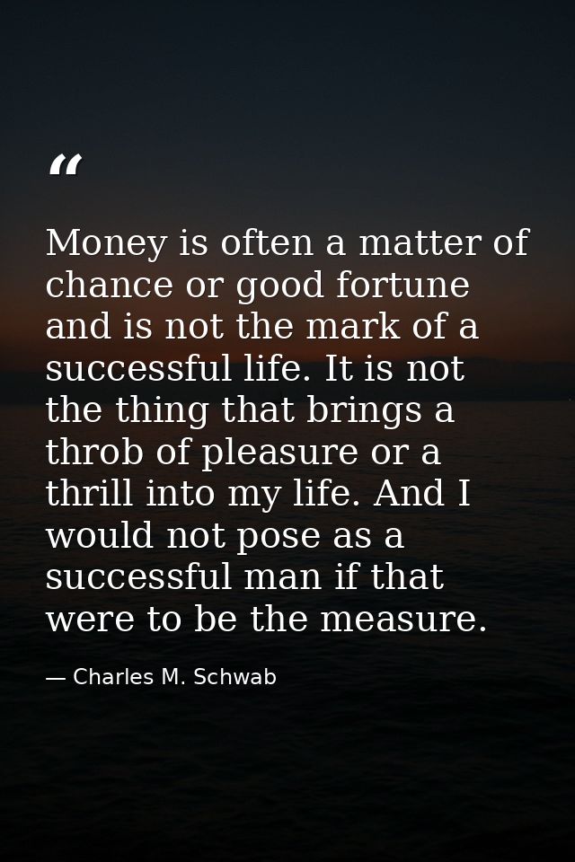 Money is often a matter of chance or good fortune and is not the mark of a successful life. It is not the thing that bri — Charles M. Schwab