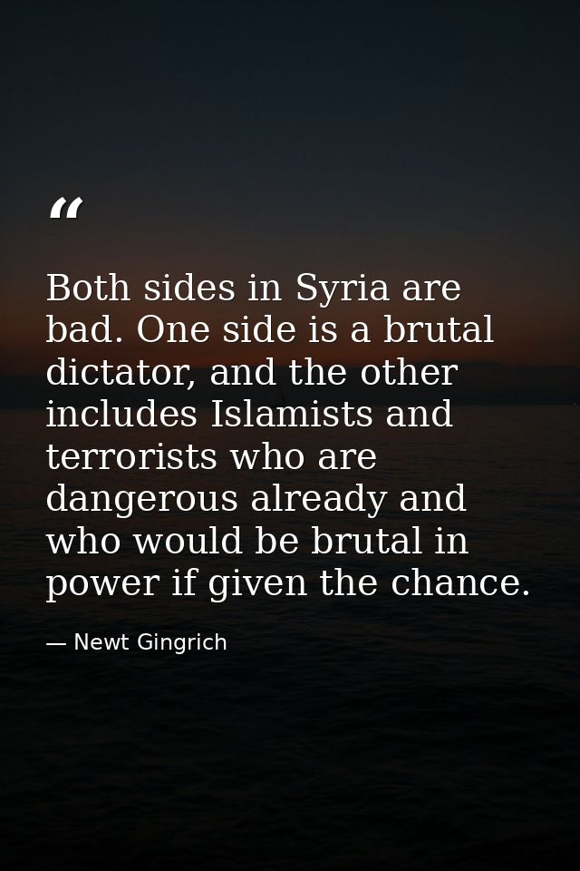 Both sides in Syria are bad. One side is a brutal dictator, and the other includes Islamists and terrorists who are dang — Newt Gingrich