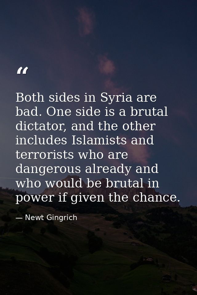 Both sides in Syria are bad. One side is a brutal dictator, and the other includes Islamists and terrorists who are dang — Newt Gingrich