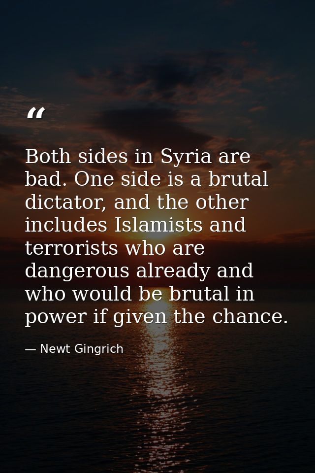 Both sides in Syria are bad. One side is a brutal dictator, and the other includes Islamists and terrorists who are dang — Newt Gingrich