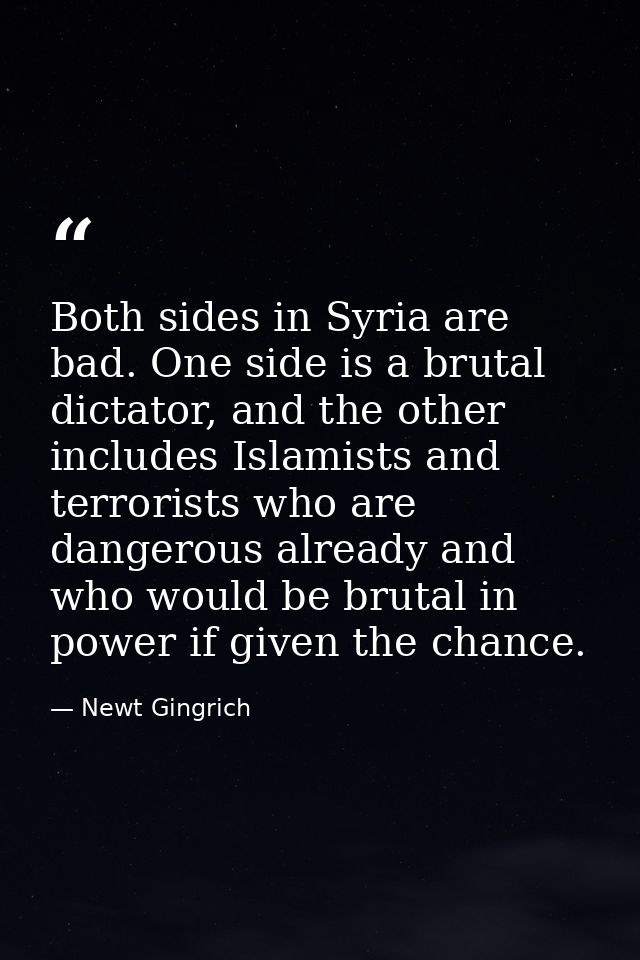 Both sides in Syria are bad. One side is a brutal dictator, and the other includes Islamists and terrorists who are dang — Newt Gingrich