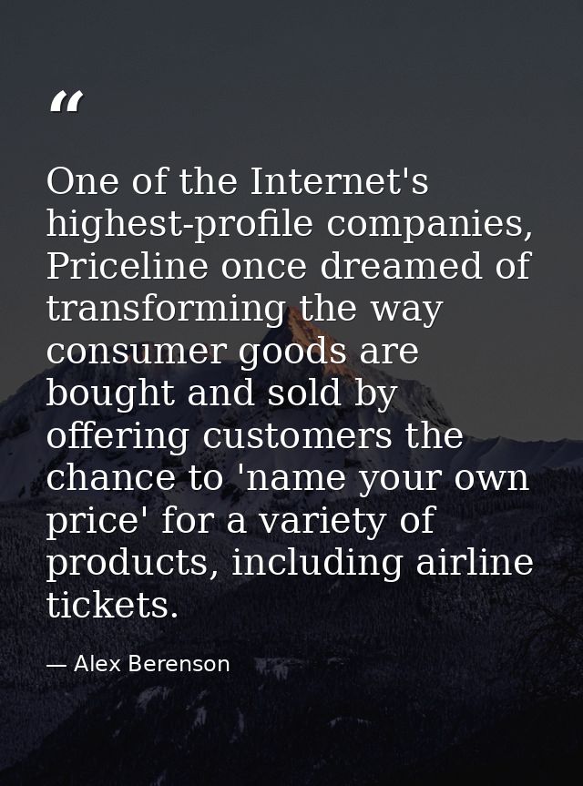 One of the Internet's highest-profile companies, Priceline once dreamed of transforming the way consumer goods are bough — Alex Berenson