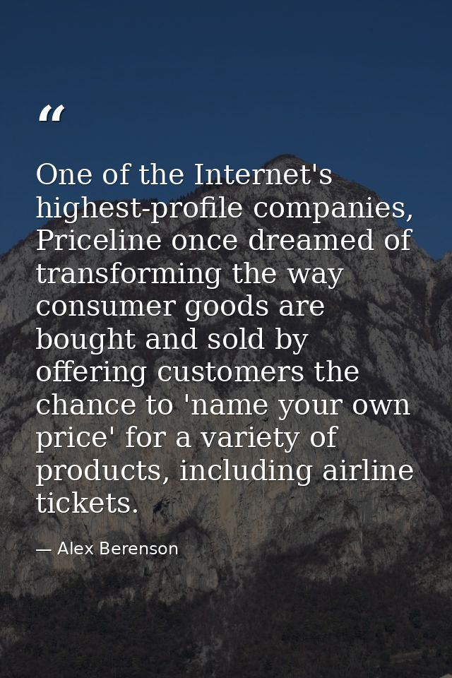 One of the Internet's highest-profile companies, Priceline once dreamed of transforming the way consumer goods are bough — Alex Berenson