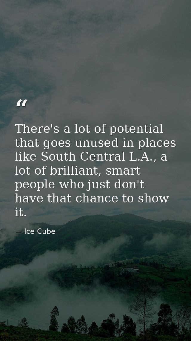 There's a lot of potential that goes unused in places like South Central L.A., a lot of brilliant, smart people who just — Ice Cube