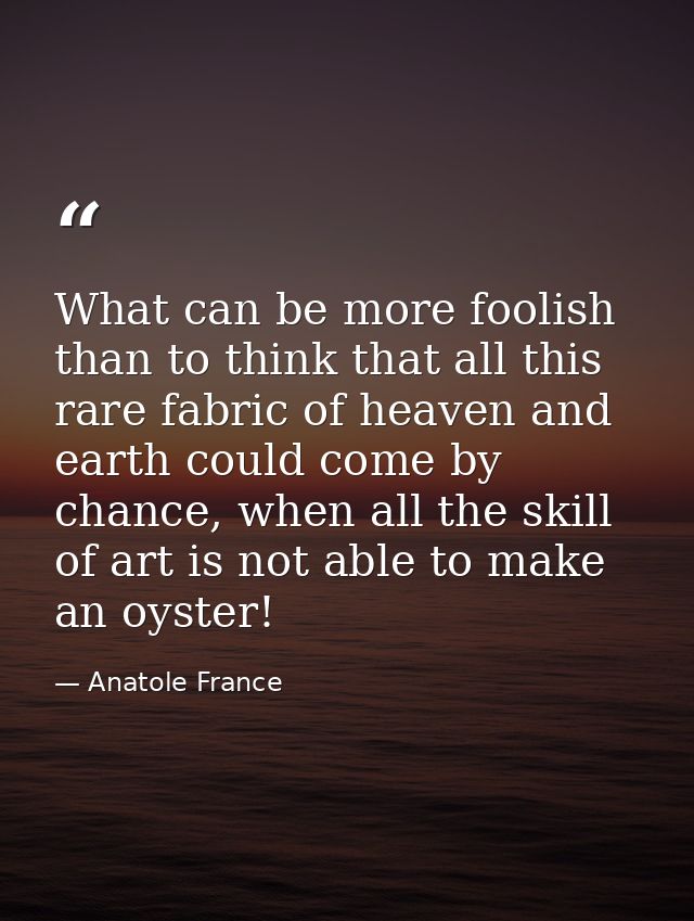 What can be more foolish than to think that all this rare fabric of heaven and earth could come by chance, when all the  — Anatole France