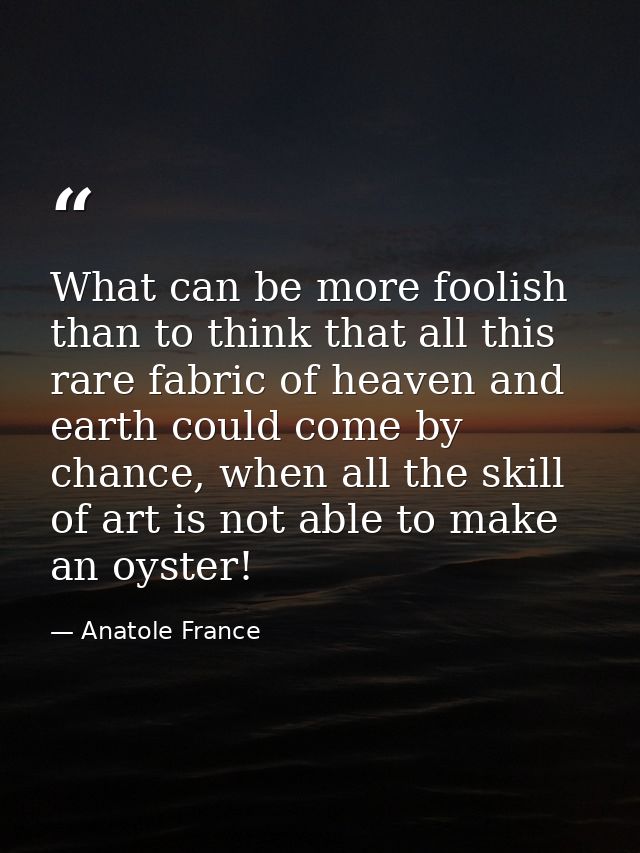 What can be more foolish than to think that all this rare fabric of heaven and earth could come by chance, when all the  — Anatole France