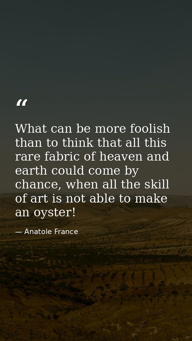 What can be more foolish than to think that all this rare fabric of heaven and earth could come by chance, when all the  — Anatole France