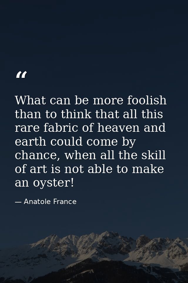 What can be more foolish than to think that all this rare fabric of heaven and earth could come by chance, when all the  — Anatole France