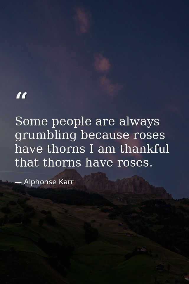 Some people are always grumbling because roses have thorns I am thankful that thorns have roses. — Alphonse Karr