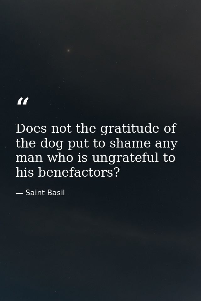 Does not the gratitude of the dog put to shame any man who is ungrateful to his benefactors? — Saint Basil