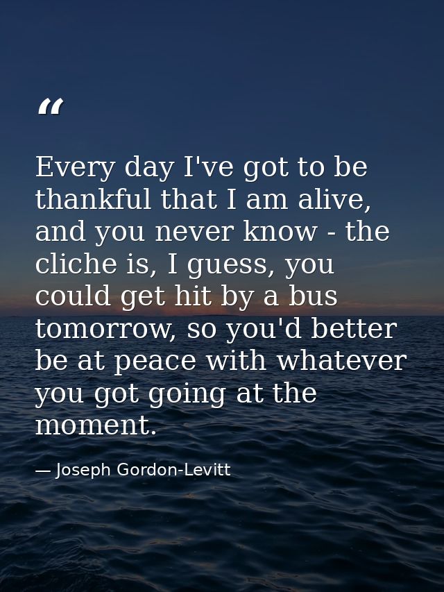 Every day I've got to be thankful that I am alive, and you never know - the cliche is, I guess, you could get hit by a b — Joseph Gordon-Levitt