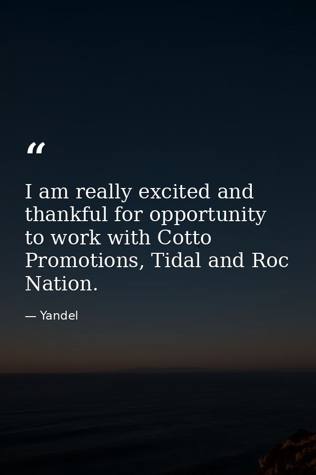 I am really excited and thankful for opportunity to work with Cotto Promotions, Tidal and Roc Nation. — Yandel