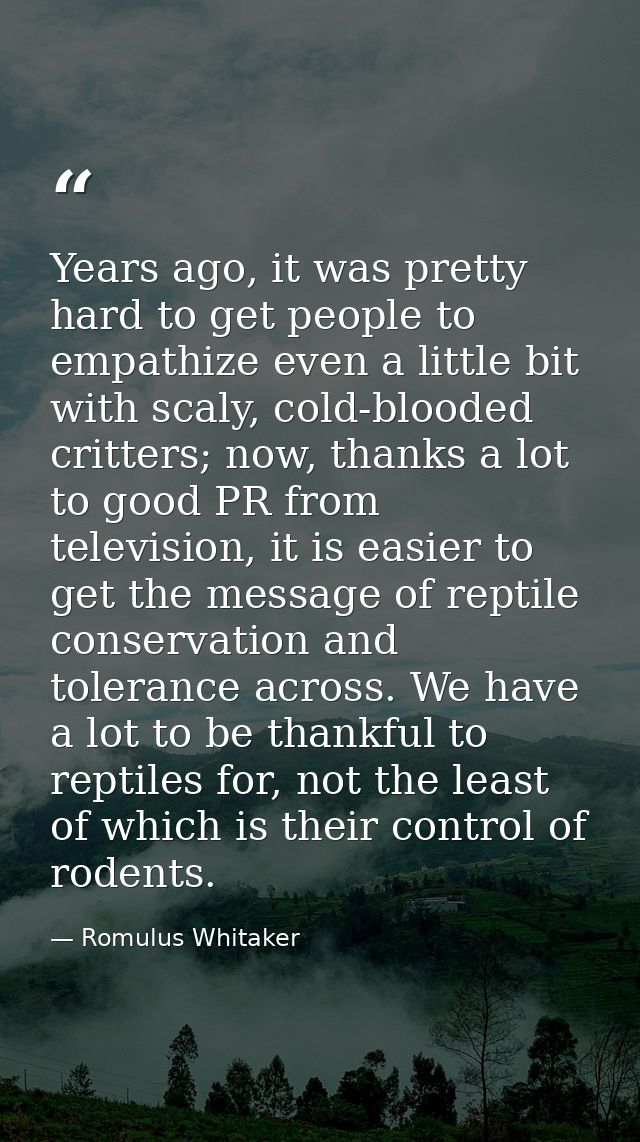 Years ago, it was pretty hard to get people to empathize even a little bit with scaly, cold-blooded critters; now, thank — Romulus Whitaker