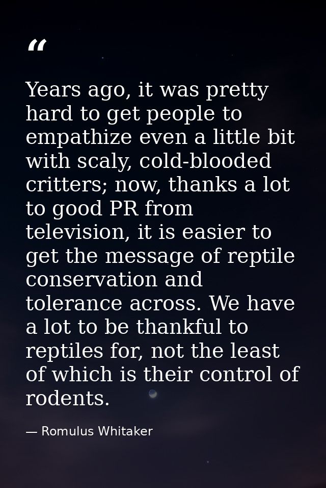 Years ago, it was pretty hard to get people to empathize even a little bit with scaly, cold-blooded critters; now, thank — Romulus Whitaker
