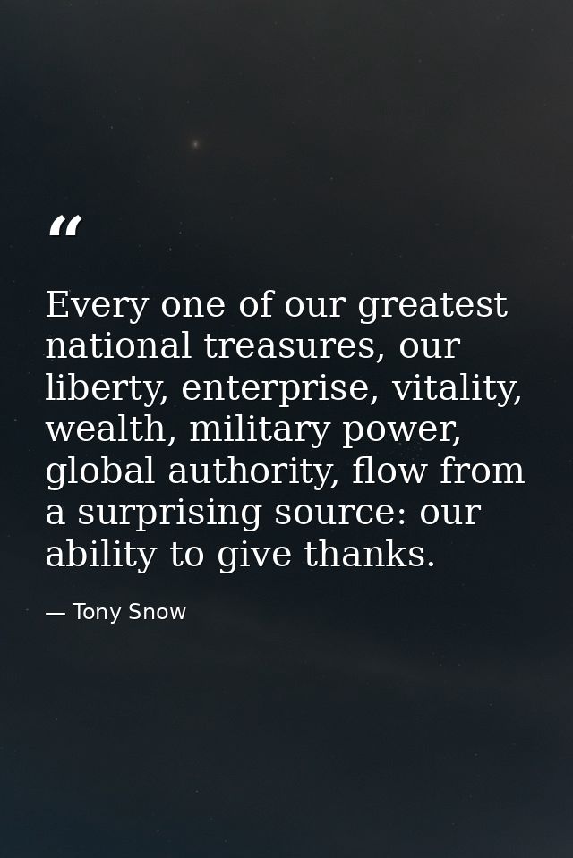 Every one of our greatest national treasures, our liberty, enterprise, vitality, wealth, military power, global authorit — Tony Snow
