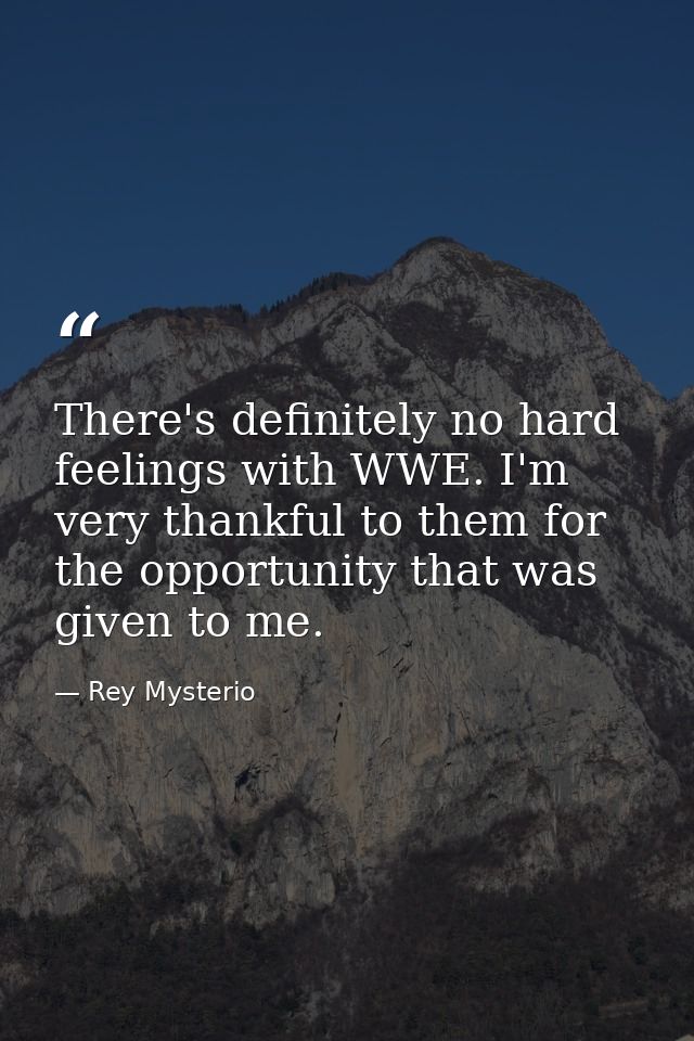 There's definitely no hard feelings with WWE. I'm very thankful to them for the opportunity that was given to me. — Rey Mysterio
