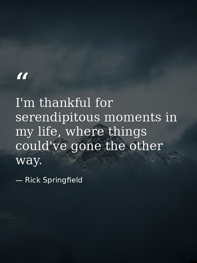 I'm thankful for serendipitous moments in my life, where things could've gone the other way. — Rick Springfield
