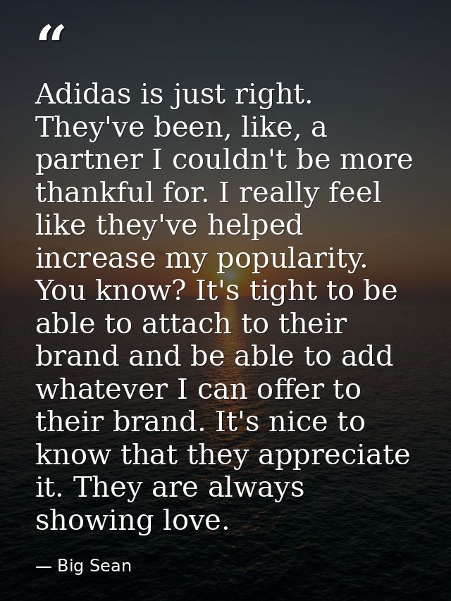 Adidas is just right. They've been, like, a partner I couldn't be more thankful for. I really feel like they've helped i — Big Sean
