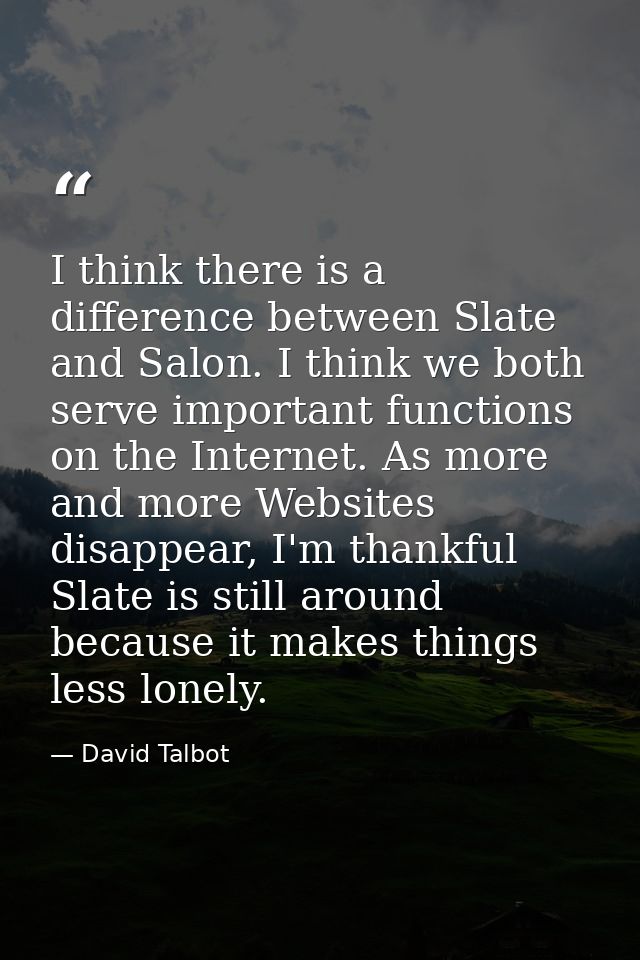 I think there is a difference between Slate and Salon. I think we both serve important functions on the Internet. As mor — David Talbot