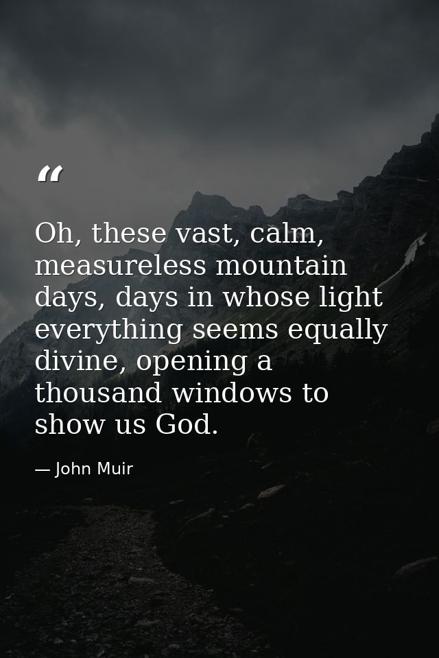 Oh, these vast, calm, measureless mountain days, days in whose light everything seems equally divine, opening a thousand — John Muir