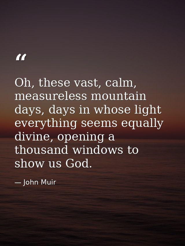 Oh, these vast, calm, measureless mountain days, days in whose light everything seems equally divine, opening a thousand — John Muir