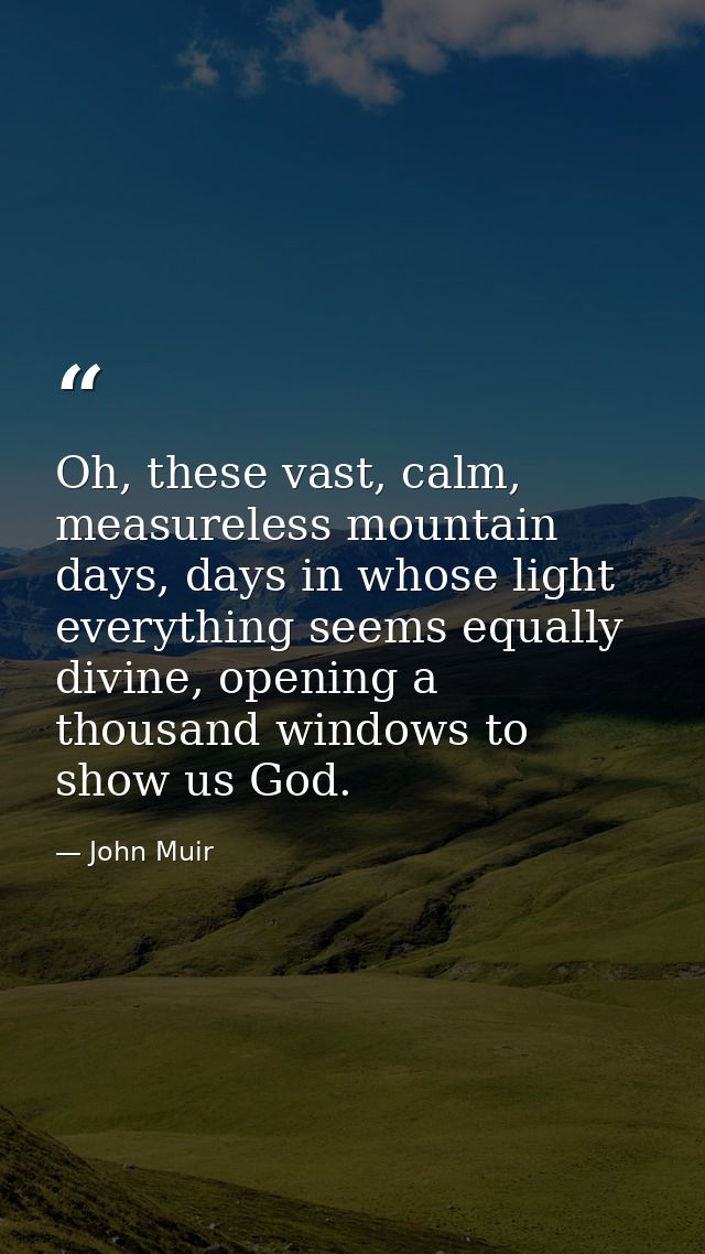Oh, these vast, calm, measureless mountain days, days in whose light everything seems equally divine, opening a thousand — John Muir
