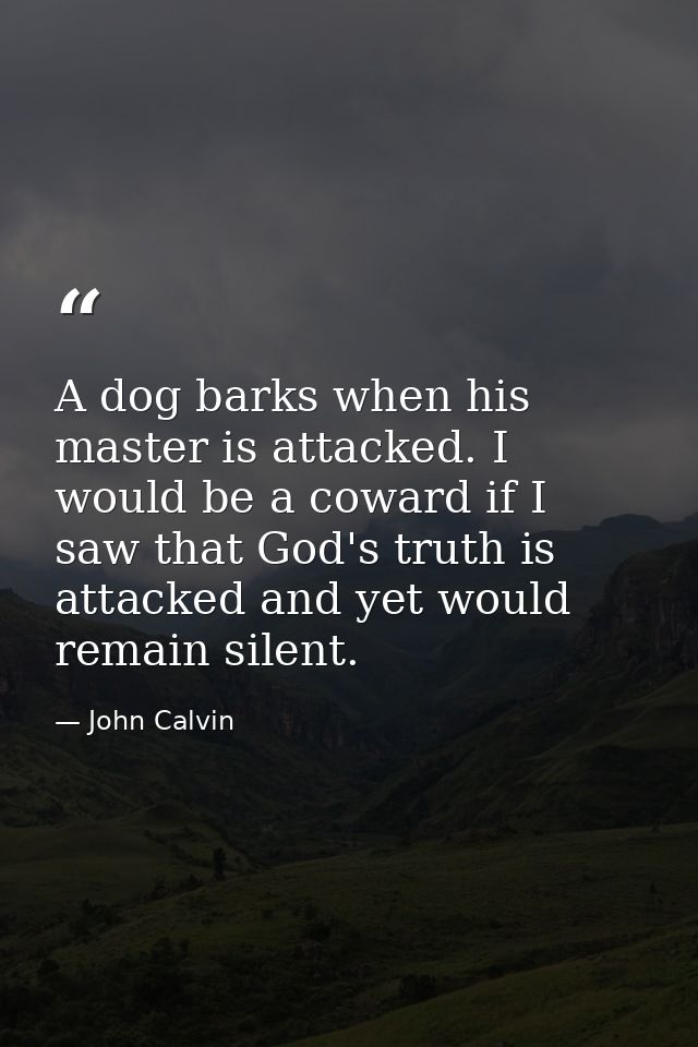 A dog barks when his master is attacked. I would be a coward if I saw that God's truth is attacked and yet would remain  — John Calvin