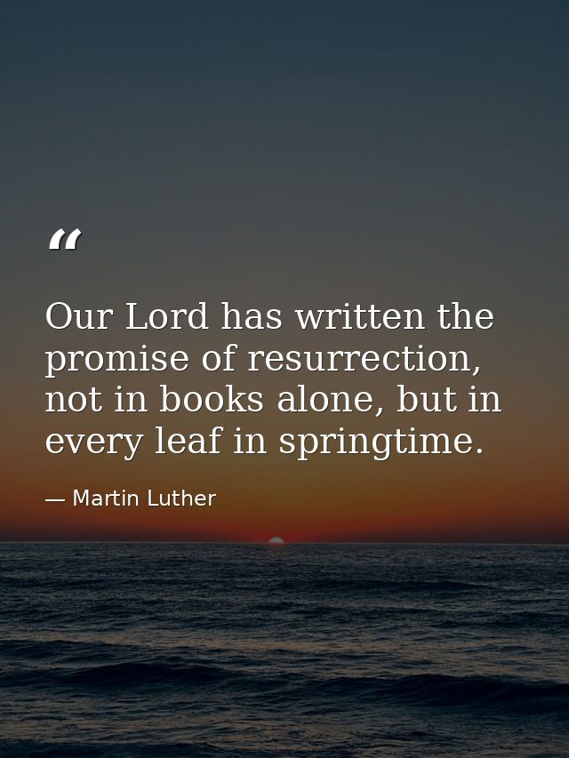 Our Lord has written the promise of resurrection, not in books alone, but in every leaf in springtime. — Martin Luther