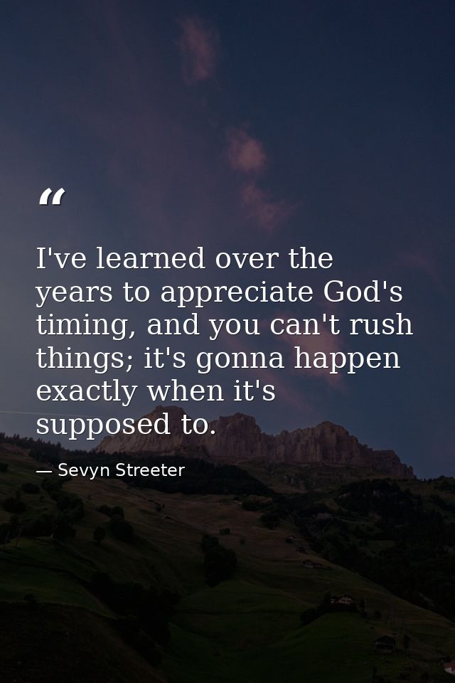 I've learned over the years to appreciate God's timing, and you can't rush things; it's gonna happen exactly when it's s — Sevyn Streeter