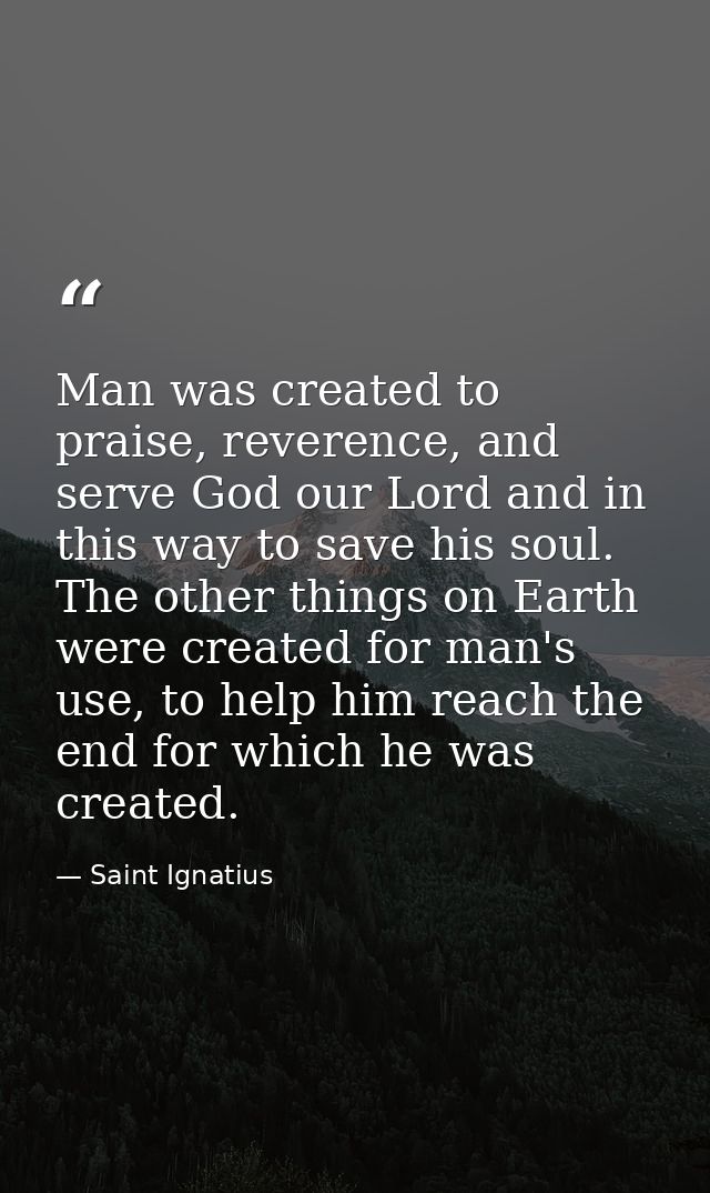 Man was created to praise, reverence, and serve God our Lord and in this way to save his soul. The other things on Earth — Saint Ignatius