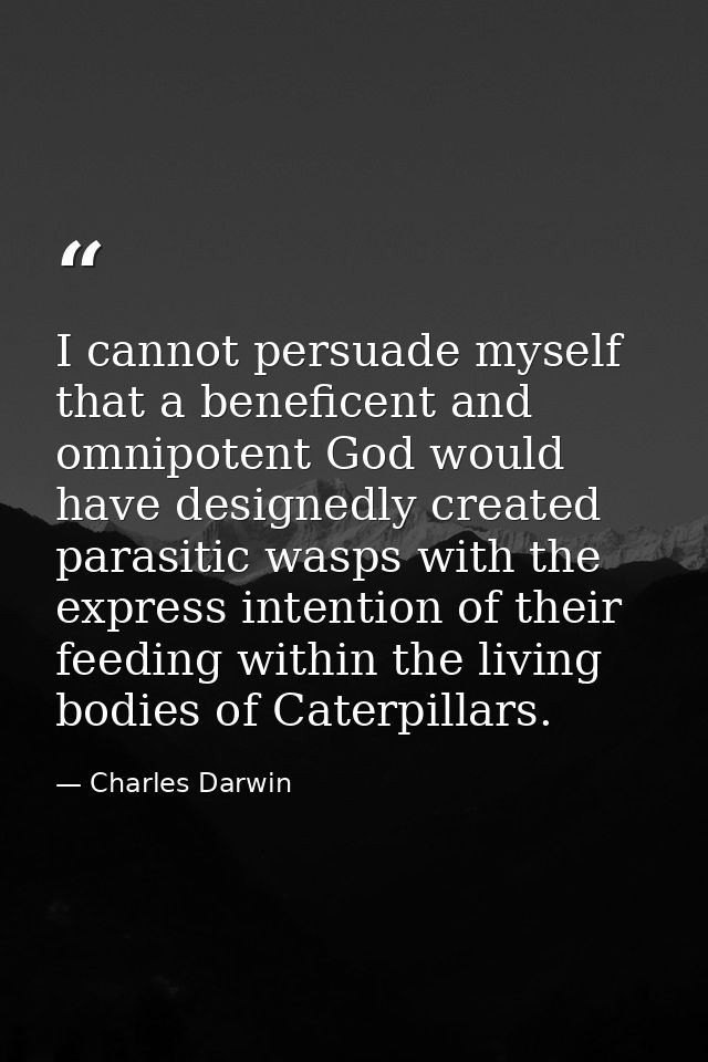 I cannot persuade myself that a beneficent and omnipotent God would have designedly created parasitic wasps with the exp — Charles Darwin