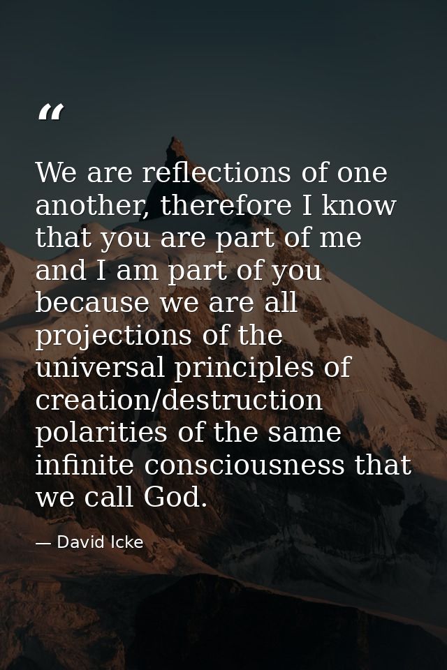 We are reflections of one another, therefore I know that you are part of me and I am part of you because we are all proj — David Icke