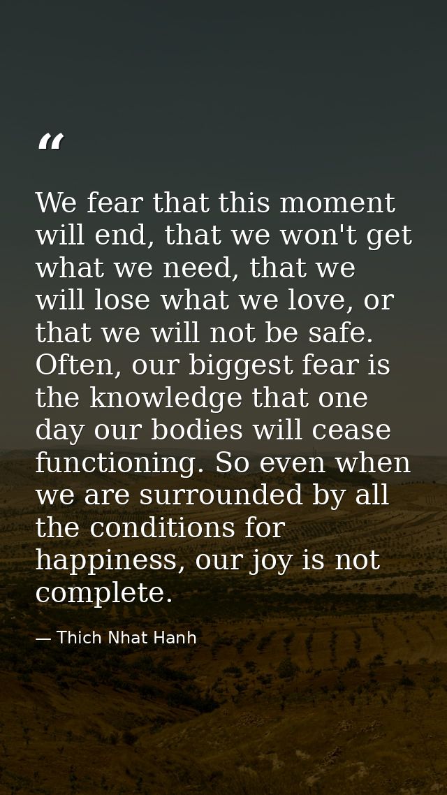We fear that this moment will end, that we won't get what we need, that we will lose what we love, or that we will not b — Thich Nhat Hanh