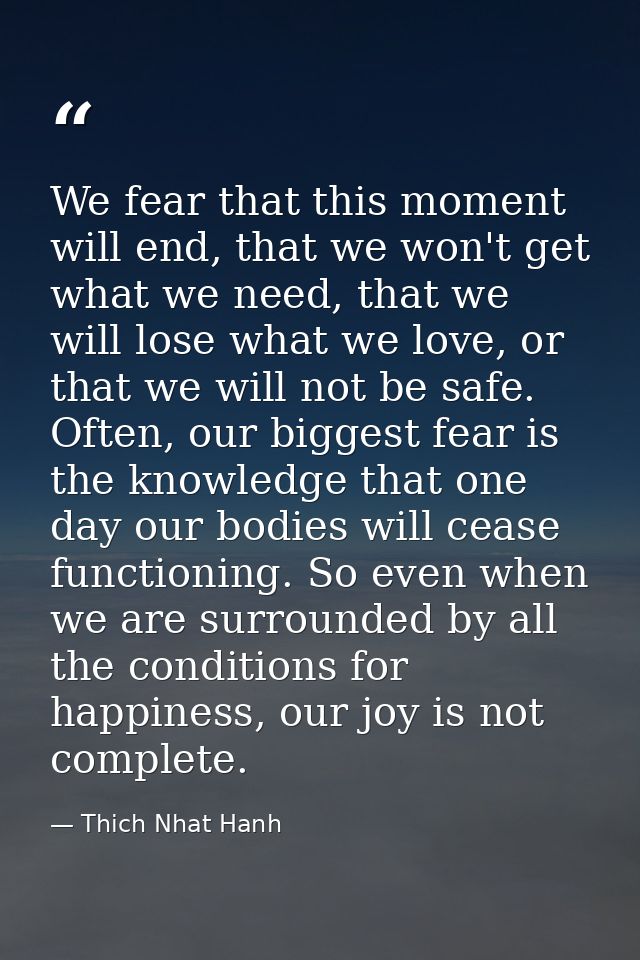 We fear that this moment will end, that we won't get what we need, that we will lose what we love, or that we will not b — Thich Nhat Hanh