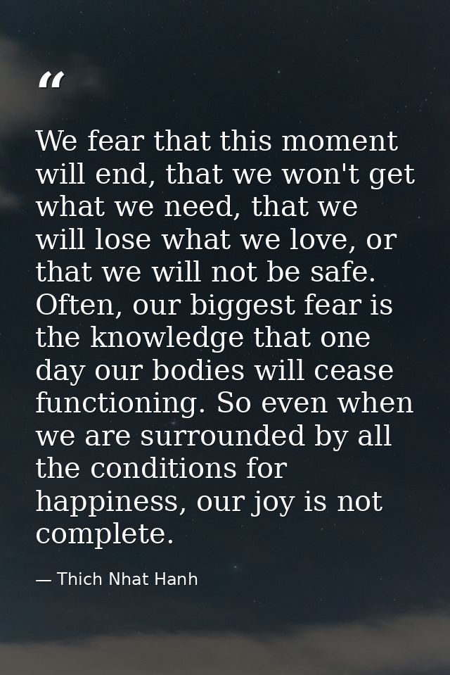 We fear that this moment will end, that we won't get what we need, that we will lose what we love, or that we will not b — Thich Nhat Hanh